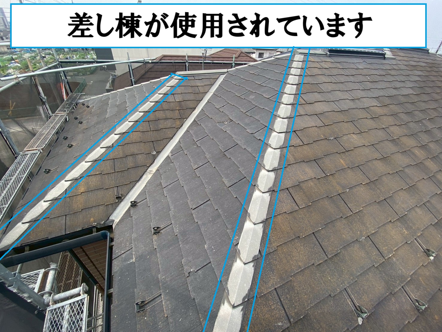 スレート屋根　黄カビ